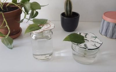 Tuto DIY du mois : réaliser une bobèche pour vos boutures