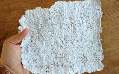 Le tuto DIY du mois : réaliser du papier ensemencé
