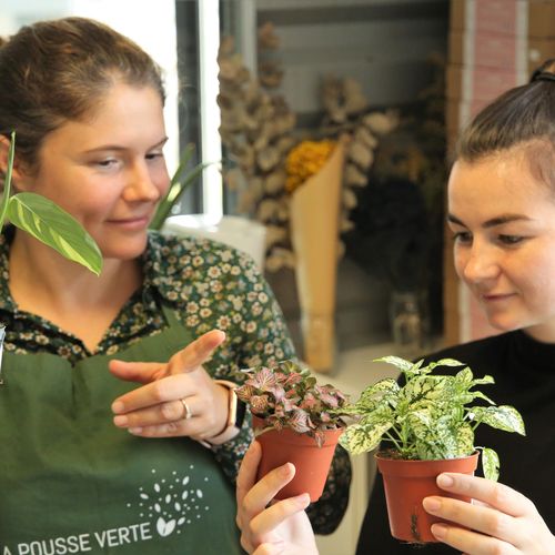 atelier kokedama lyon 7 jardinage