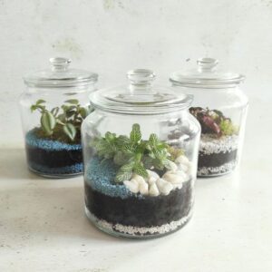 atelier terrarium jardinage diy lyon loisirs créatifs