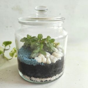 atelier terrarium jardinage diy lyon loisirs créatifs