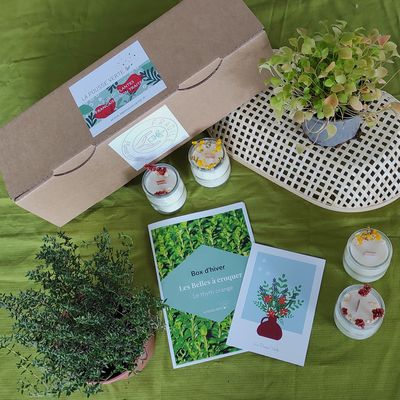 Box de plante fleurie comestible hiver 2022/2023