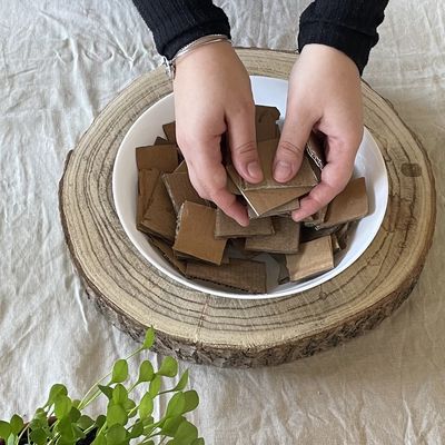 Pots à semis en papier et carton - infomaison