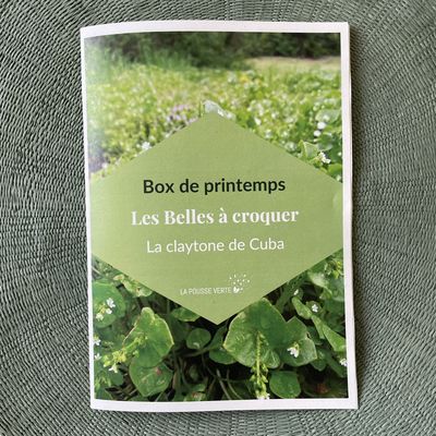 feuillet box printemps