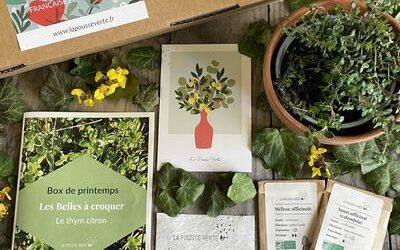 Box de plante fleurie comestible printemps 2023