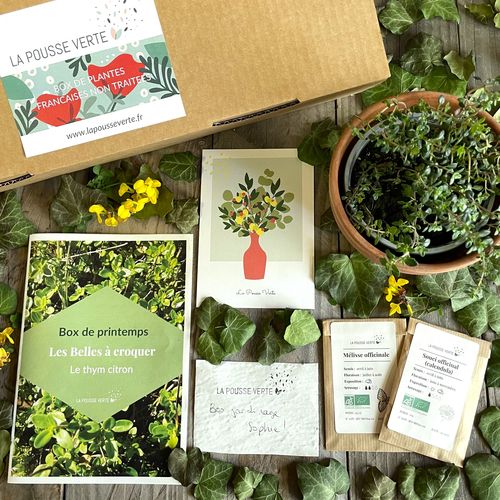 box plante fleurie comestible printemps