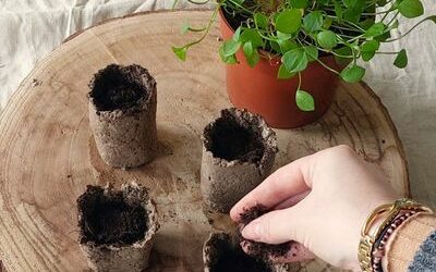 Tuto : fabrication de pot pour les semis biodégradable