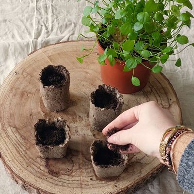 Tuto : fabrication de pot pour les semis biodégradable