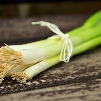 tuto faire repousser légumes poireau