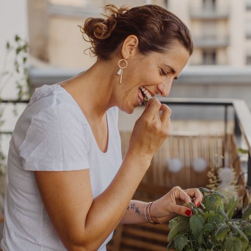 recettes cuisine plante fleurie comestible
