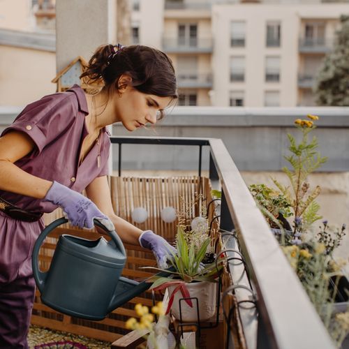 conseils jardinage entretien plantes