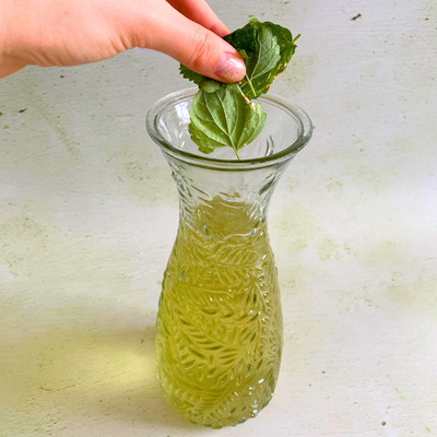 tuto thé glacé sauge ananas agastache