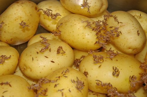 carvi recette pommes de terre