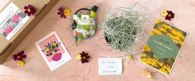 box plantes fleuries comestibles cadeau jardinage box plantes fleuries comestibles cadeau jardinage