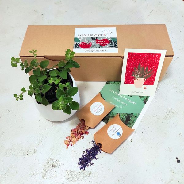 box hiver plante fleurie comestible