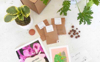 Box de plante fleurie comestible été 2024