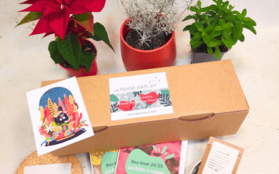 Box de plante fleurie comestible hiver 2024-2025
