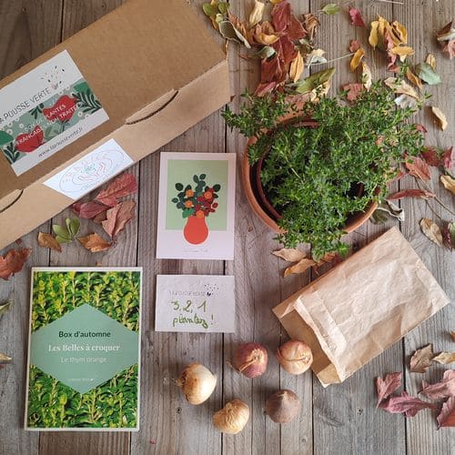 box plantes cadeau automne box plantes cadeau automne