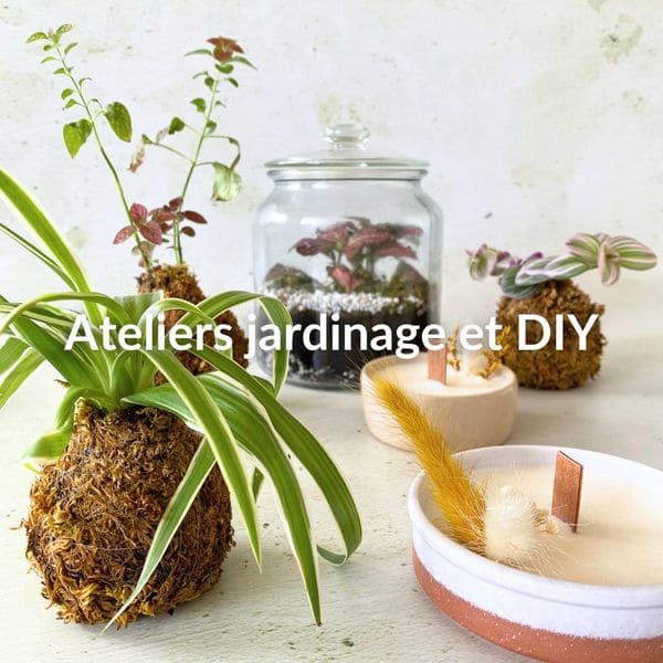 ateliers jardinage DIY lyon ateliers jardinage DIY lyon