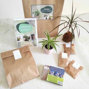 coffret kokedama kit diy jardinage