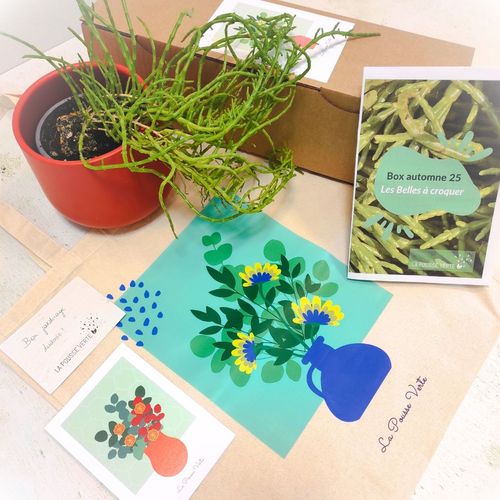 box plante automne 2025 fleur comestible cadeau box plante automne 2025 fleur comestible cadeau
