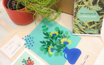 Box de plante fleurie comestible automne 2025