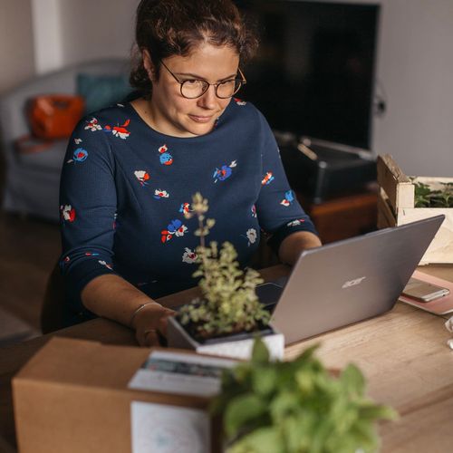 newsletter ordinateur caroline plante